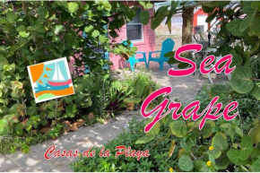 Sea Grape Cottage - At Casas de la Playa Central